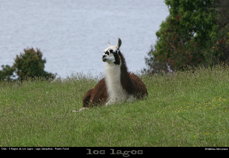 051_02_puertofonck