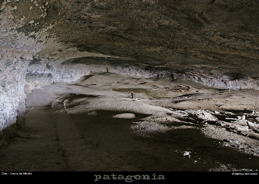 094_17_cdmilodon