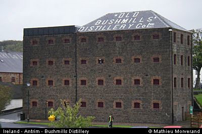 bushmillsdistillery