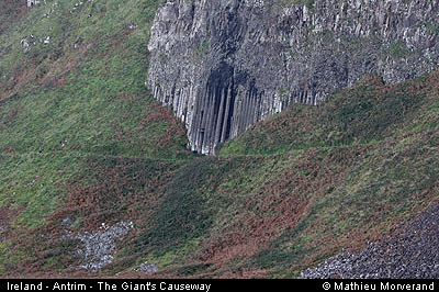 giantcauseway56theorgan