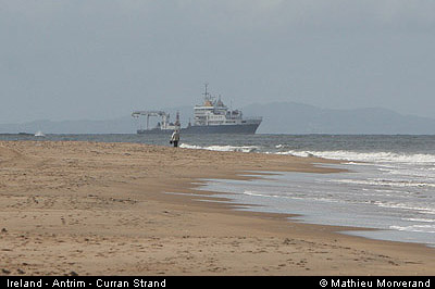 thewhiterocks07strand