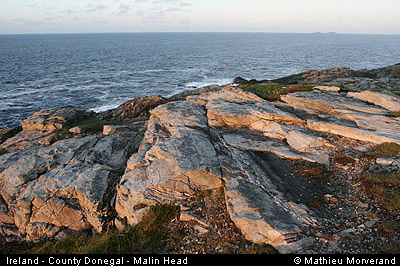 malinhead02