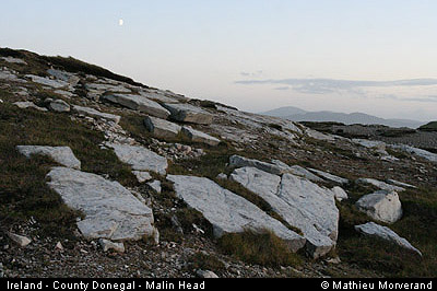 malinhead03