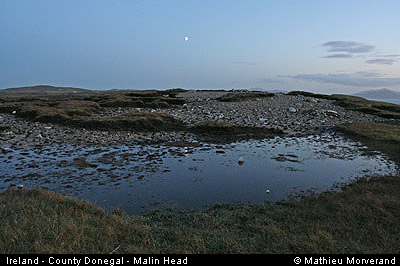 malinhead05