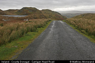 carriganheadroad01