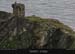 carriganhead03