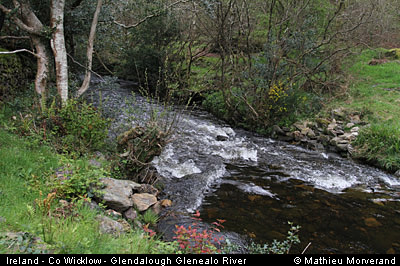 glendalough_glenealoriver1