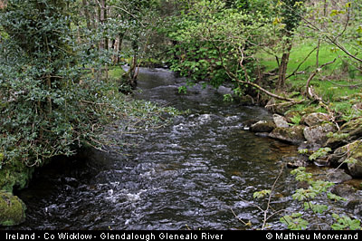 glendalough_glenealoriver4