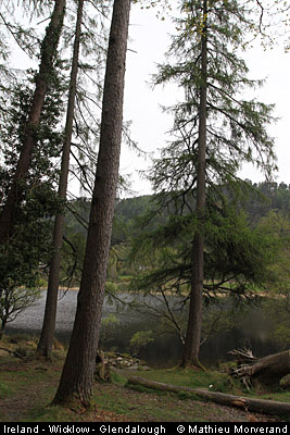 glendalough_lowerlake2