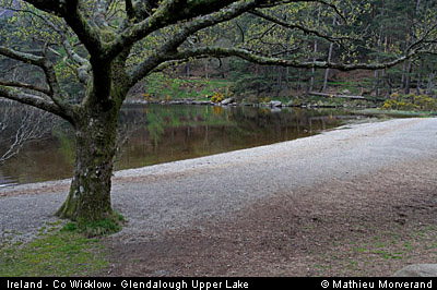 glendalough_upperlake7