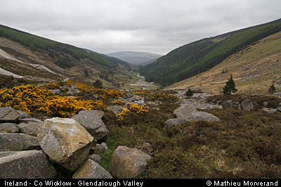 glendalough_valley1