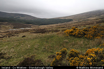 glendalough_valley3