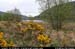 glendalough_lowerlake1