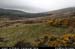 glendalough_valley3