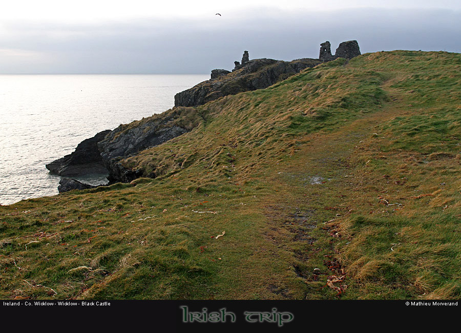 wicklowblackcastle01