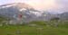 20030628_bishorn021