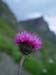 20030628_bishorn027