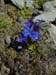 20030628_bishorn028