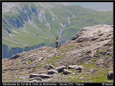 20030801_bonhomme_43