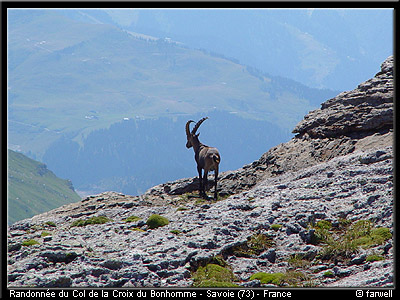 20030801_bonhomme_44