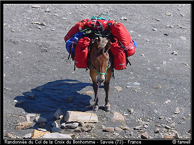 20030801_bonhomme_45