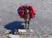 20030801_bonhomme_45