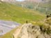 20030801_bonhomme_50