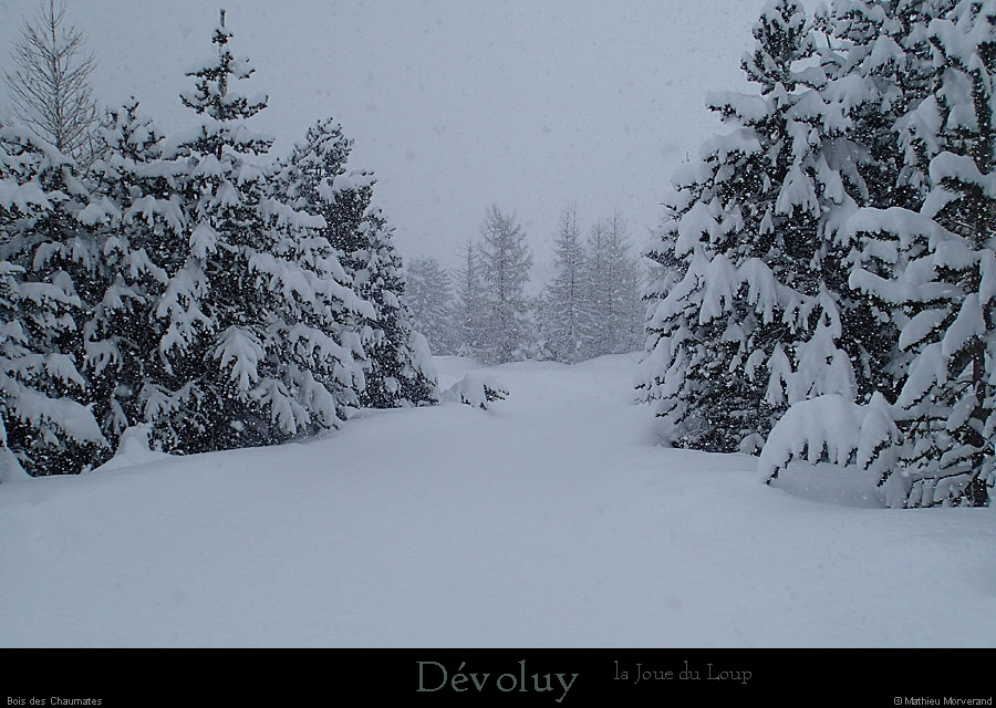 20140129_devoluy_agnieres_boischaumates2