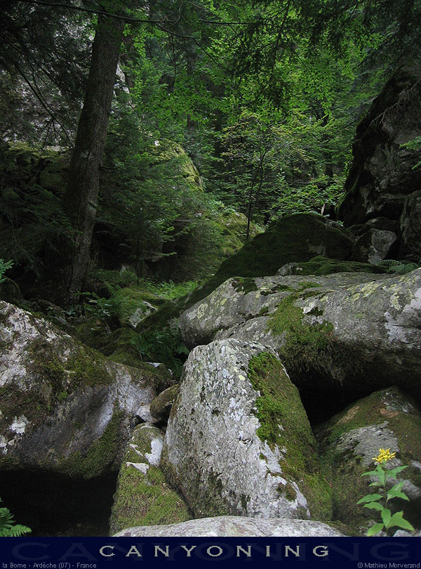 20070813_051