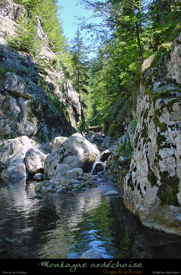 20030728_canyonborne_confluenceravingrandfronge3