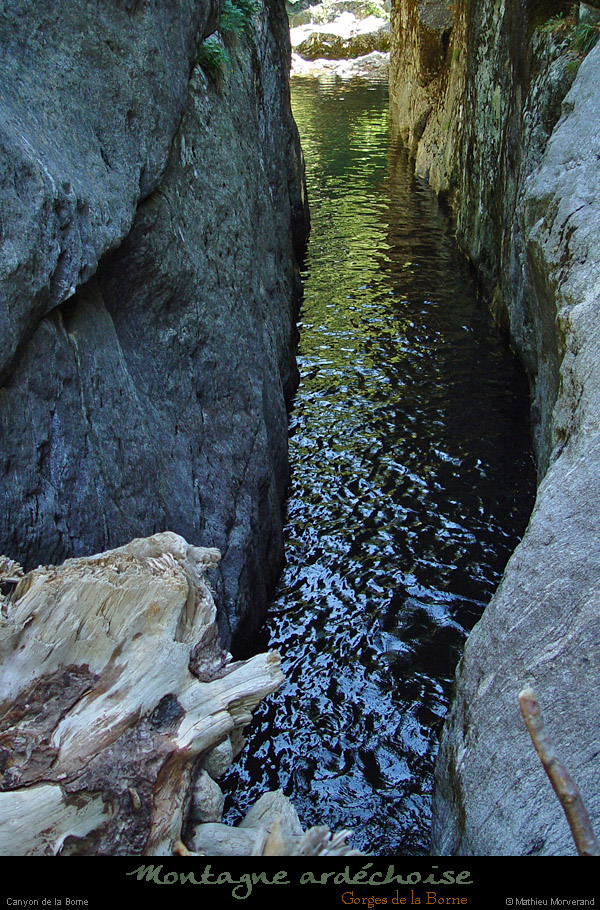 20030728_canyonborne_p07_parl'amont