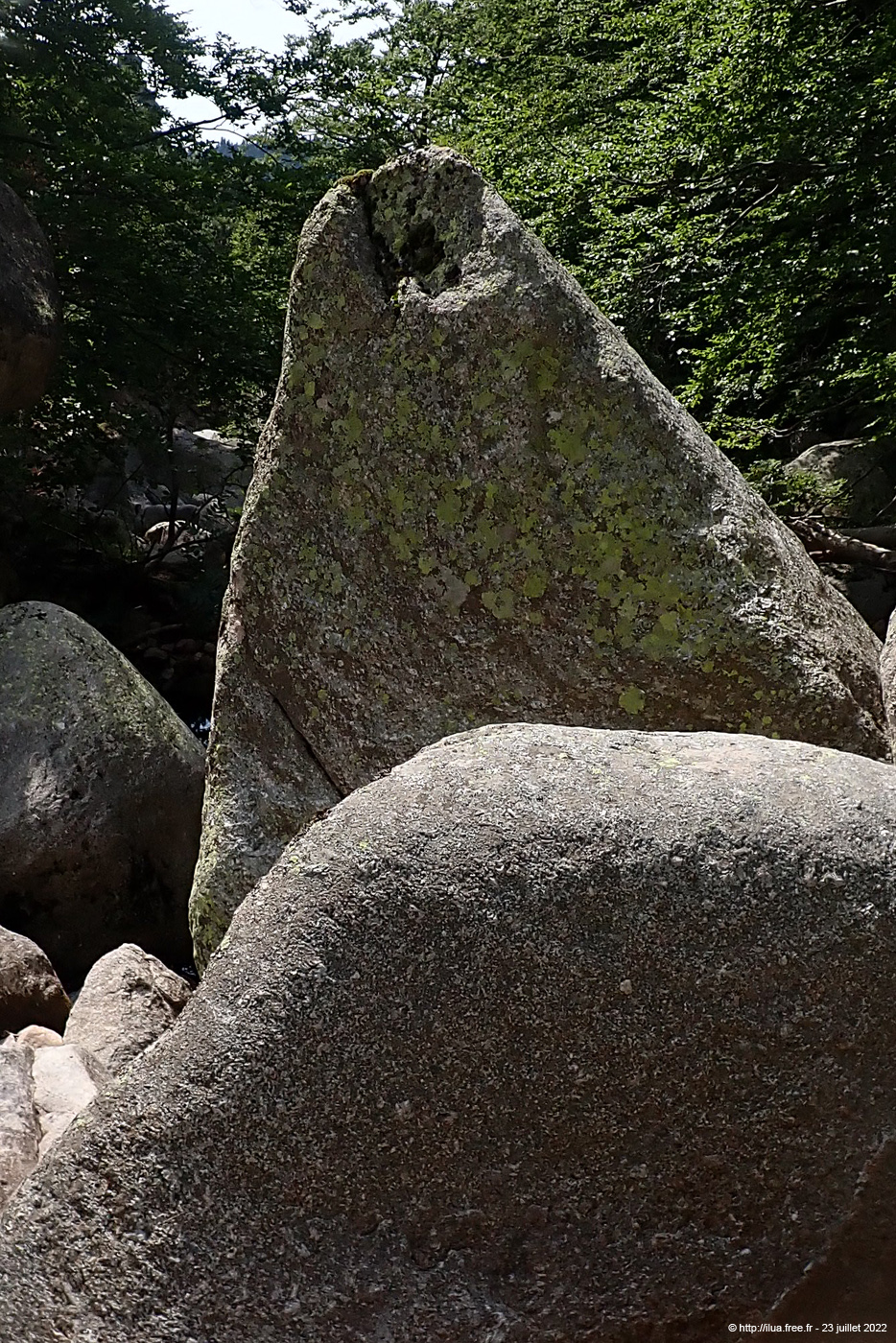 20220723_095