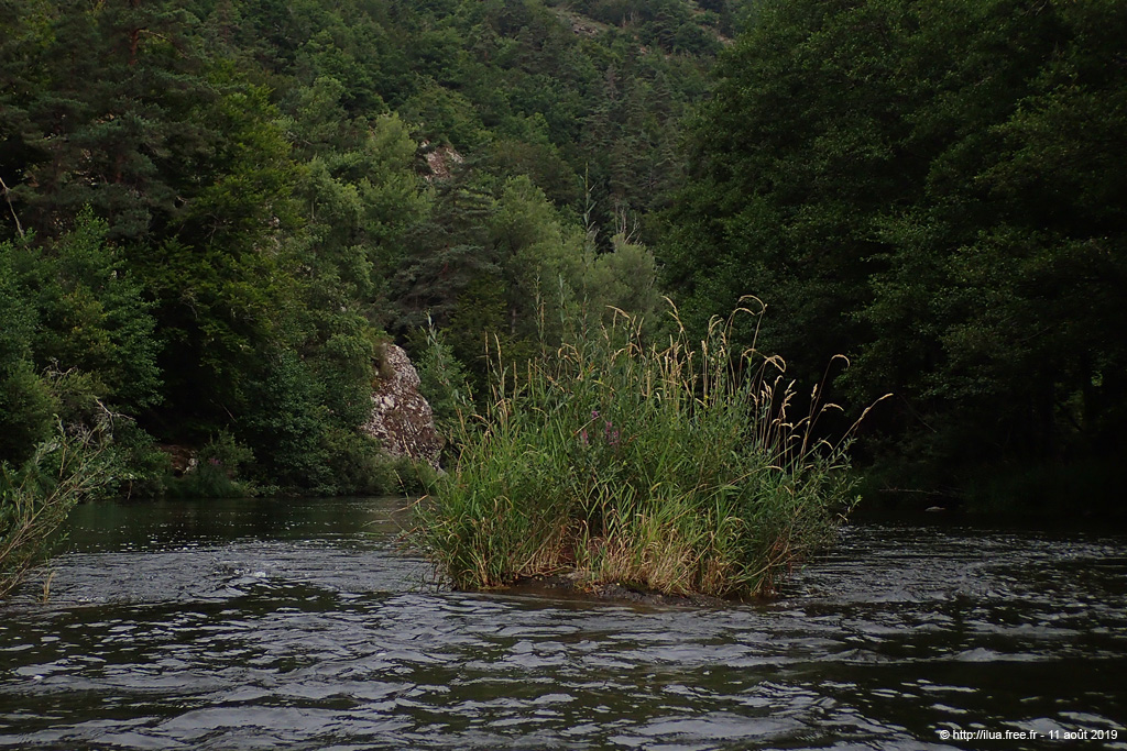 20190811_194