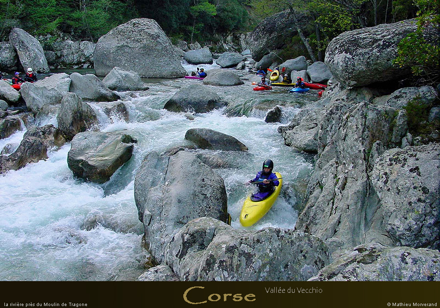 20010325_vecchio_p6_cedric
