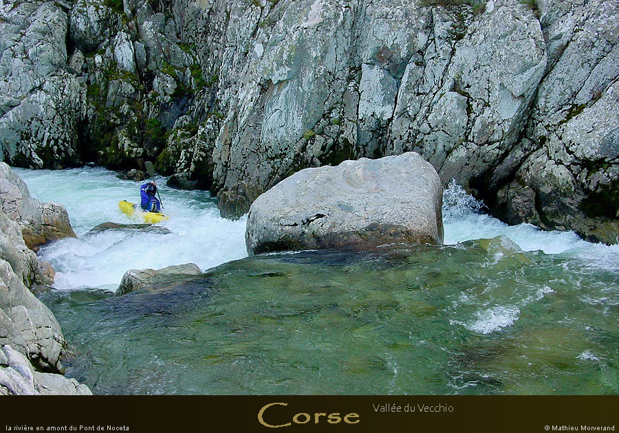 20010325_vecchio_p7_cedric