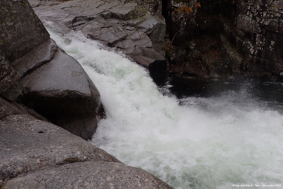 20201028_036