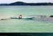 20010419_kmdinard_s_nav_greg