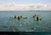 20010419_kmdinard_s_nav_team_2