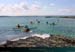 20010419_kmdinard_s_nav_team_3