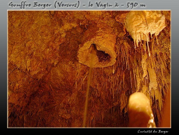 berger_10