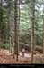 20170621_vtt_loubaresse_vallonessinles2