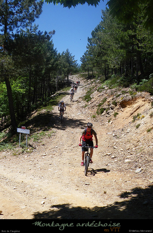 20090529_boisdefaugeres1