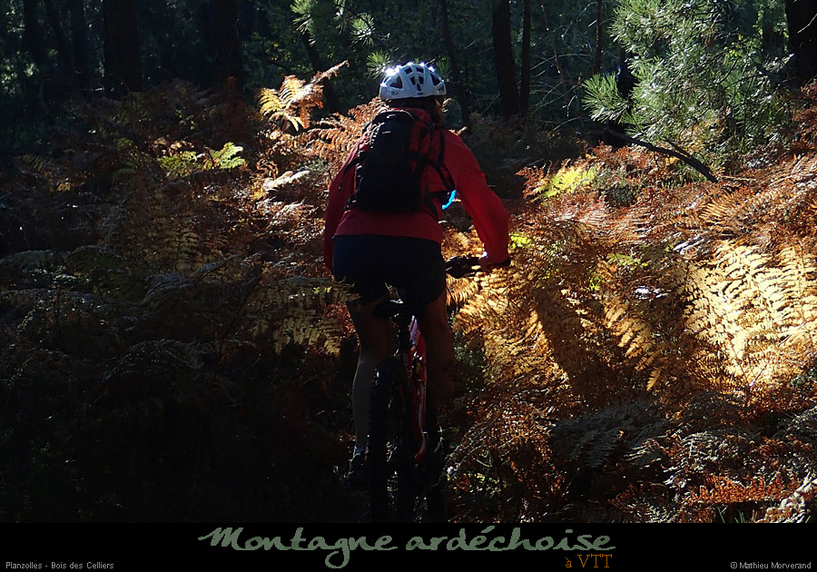 20141026_005