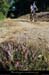 20120916_vtt_faugeres_platdelaforet2