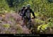 20120916_vtt_payzac_sentierdepratasaga1