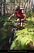20120916_vtt_planzolles_sentierdelacroix1