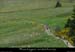 20100530_montselgues_penteslescayresvtt1