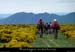 20100530_montselgues_testerougevtt2