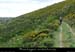 20100530_sablieres_cornichecevenole_vtt1