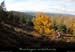 20111030_vtt_montselgues_pentesdesperriers2